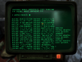 FalloutNV 2012-05-13 04-00-54-63.png